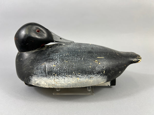 Eddie Hyde Blue Bill Sleeper (#4746)