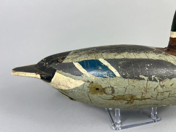 Leonard Doren Mallard Drake (#3644)