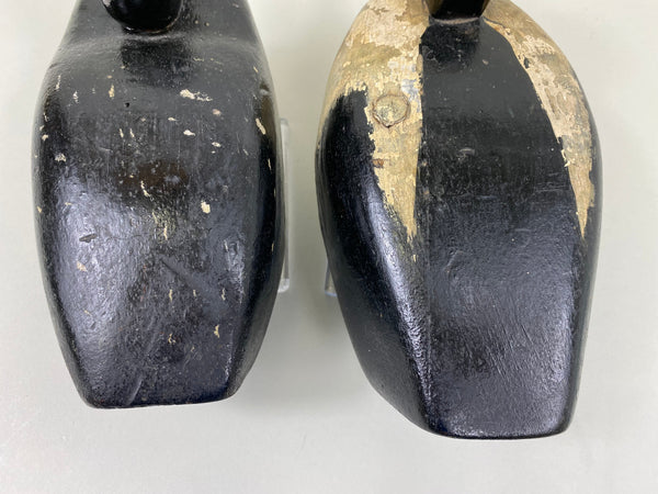 Unknown Working Pair of Buffleheads (#4927)