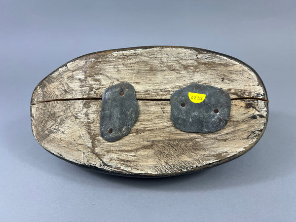 Maine White Winged Scoter (#2235)