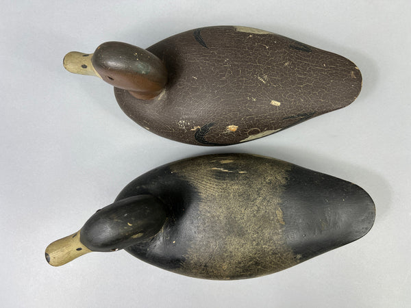 Keyes Chadwick Pair of Bluebills, Original Paint (#4847)