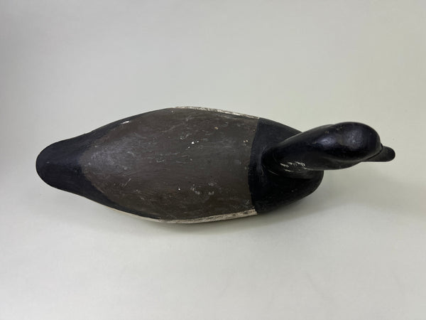 Dipper Ortley Brant, Circa 1950's (#3029)