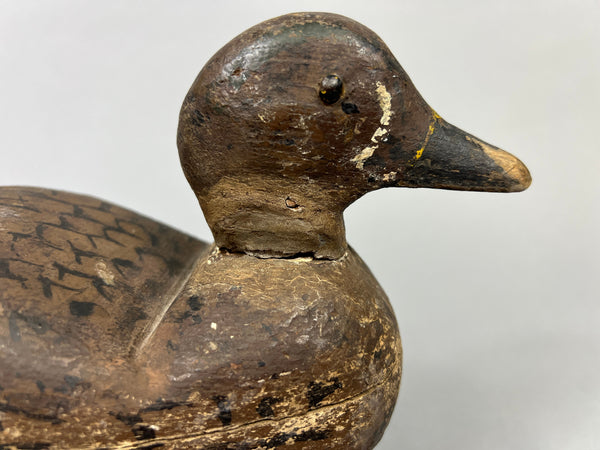 Unknown Illinois River Teal Drake (#1070)