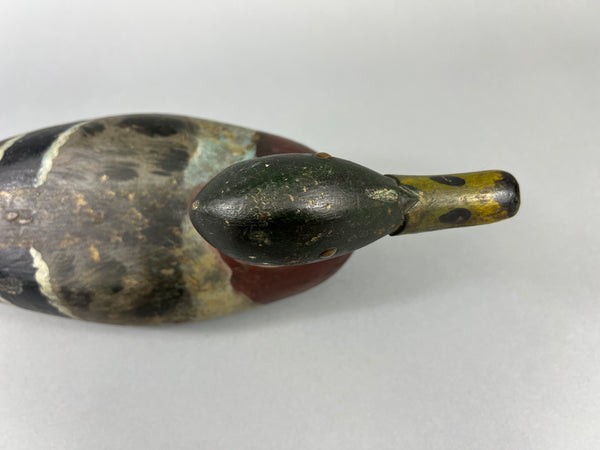 Unknown Early Illinois River Mallard Drake, Circa 1920’s (#181)