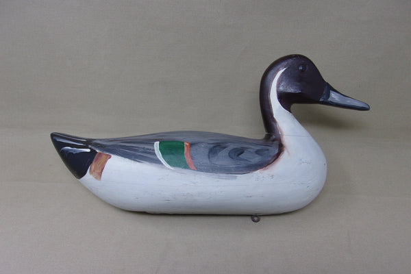 Newt Rule Pintail Drake, Circa 1930's (#5087)