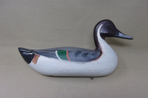 Newt Rule Pintail Drake, Circa 1930's (#5087)