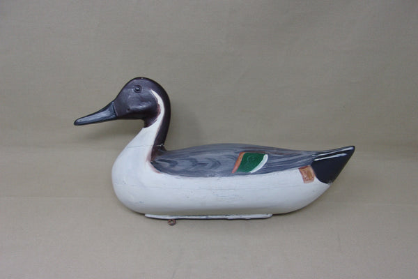 Newt Rule Pintail Drake, Circa 1930's (#5087)