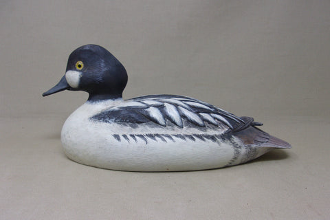 Felipe Gonzalez Golden Eye Drake- Ohio (#5154)