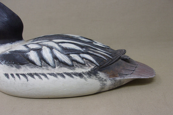 Felipe Gonzalez Golden Eye Drake- Ohio (#5154)