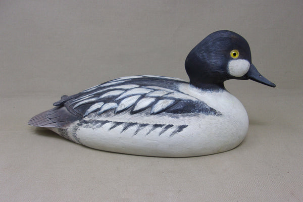 Felipe Gonzalez Golden Eye Drake- Ohio (#5154)