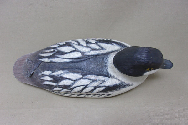 Felipe Gonzalez Golden Eye Drake- Ohio (#5154)