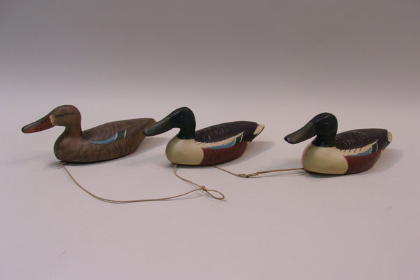 String of 3 Third Size Shovelers, Ron Koch (#5172)