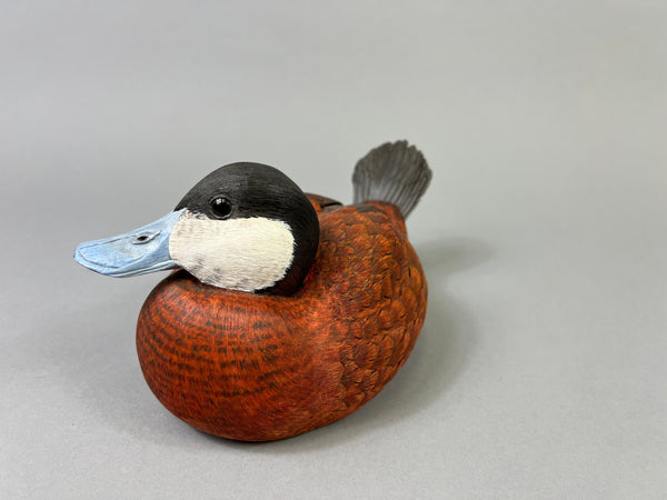 Mike & Nancy Scherer Turned Head Ruddy Duck (#8449)