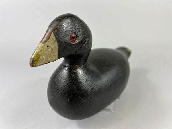 Pratt Factory Coot (#8028)
