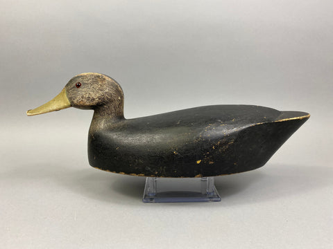 Fred Croft Black Duck "FC" Brands (#5202)