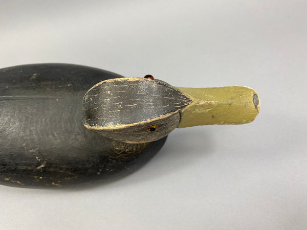 Fred Croft Black Duck "FC" Brands (#5202)