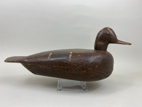Illinois River Mallard Hen (#5236)