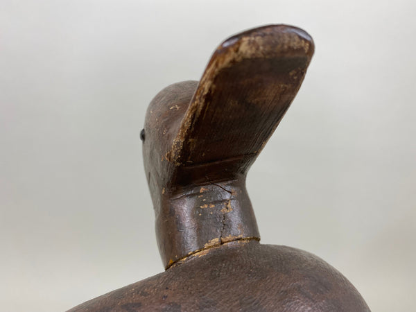 Illinois River Mallard Hen (#5236)