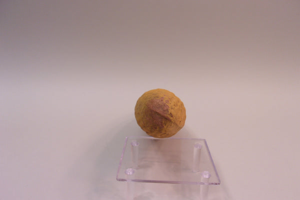 Carry-Lite Paper Mache Corn (#5284E)