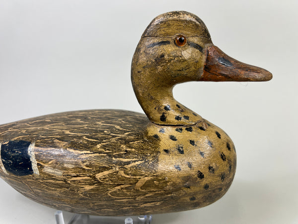 Otto Garren Mallard Hen (#8736)