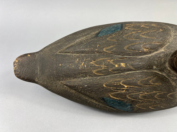 Michigan Black Duck Schmidt influence (#4771)