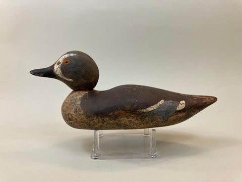 Mason Painted Eye Blue Wing Teal (#5326)