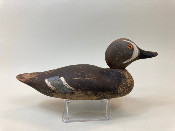 Mason Painted Eye Blue Wing Teal (#5326)