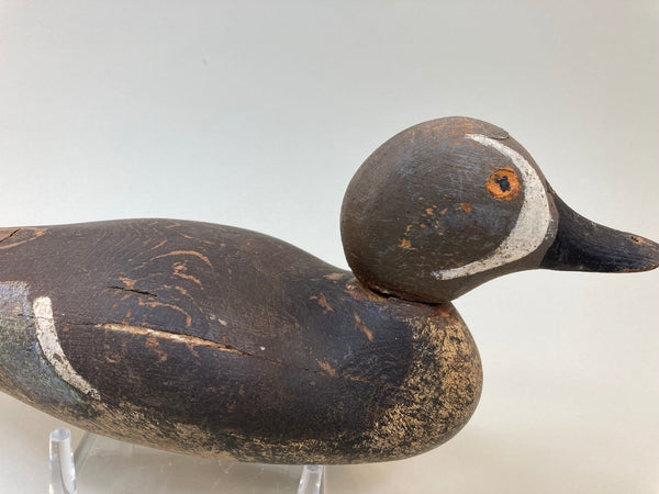 Mason Painted Eye Blue Wing Teal (#5326)