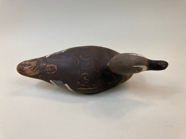 Mason Painted Eye Blue Wing Teal (#5326)