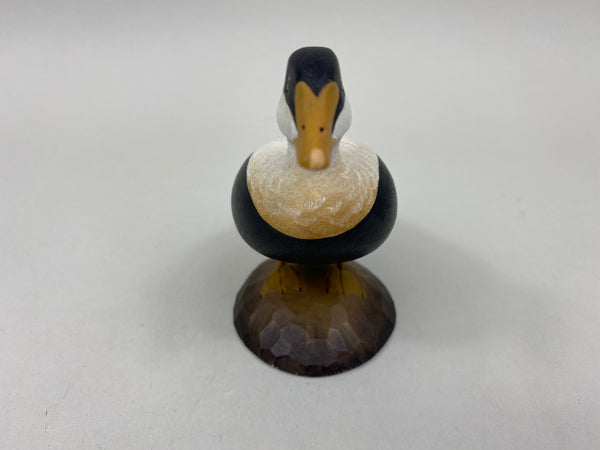 George Strunk Miniature Common Eider (#5254)