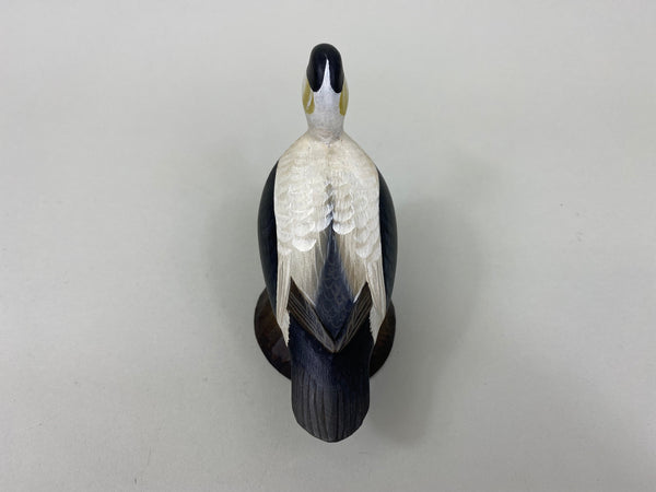 George Strunk Miniature Common Eider (#5254)