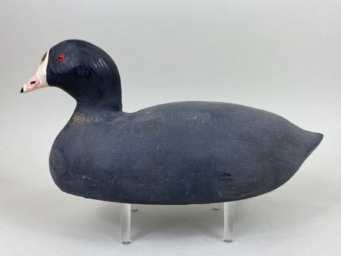 Herters 1893 Series Coot - Branded (#5444)