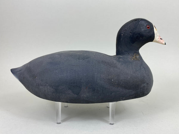 Herters 1893 Series Coot - Branded (#5444)