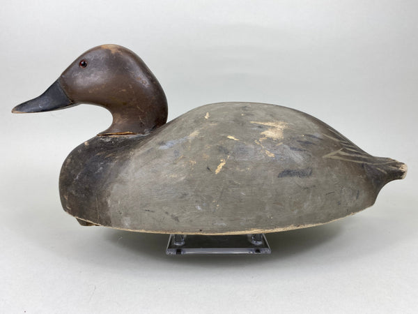 Wildfowler Canvasback Drake, Old Saybrook (#5451)