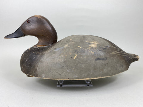 Wildfowler Canvasback Drake, Old Saybrook (#5451)