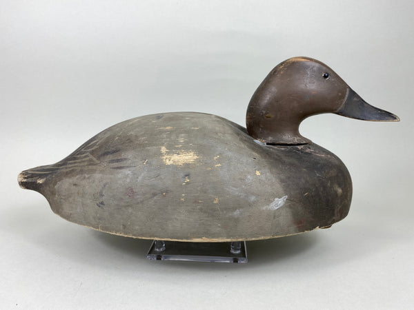 Wildfowler Canvasback Drake, Old Saybrook (#5451)
