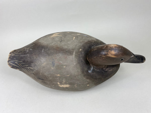 Wildfowler Canvasback Drake, Old Saybrook (#5451)