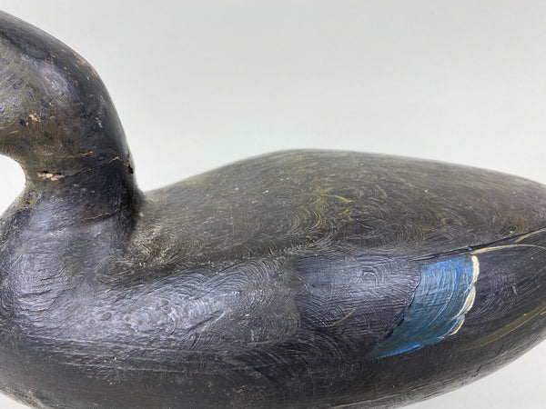 Unknown Hollow Black Duck (#5477)