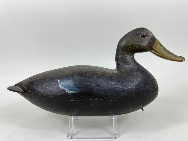 Unknown Hollow Black Duck (#5477)