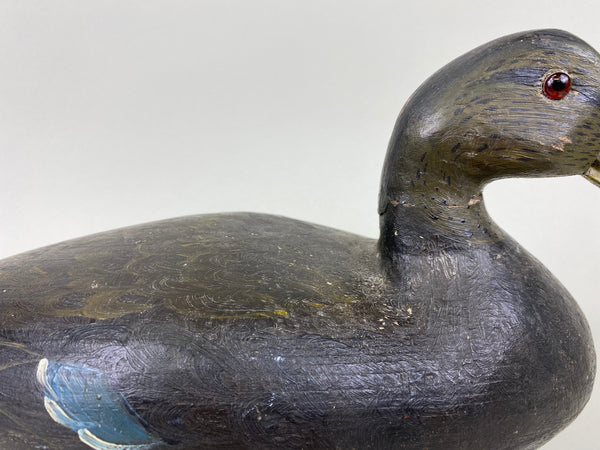 Unknown Hollow Black Duck (#5477)