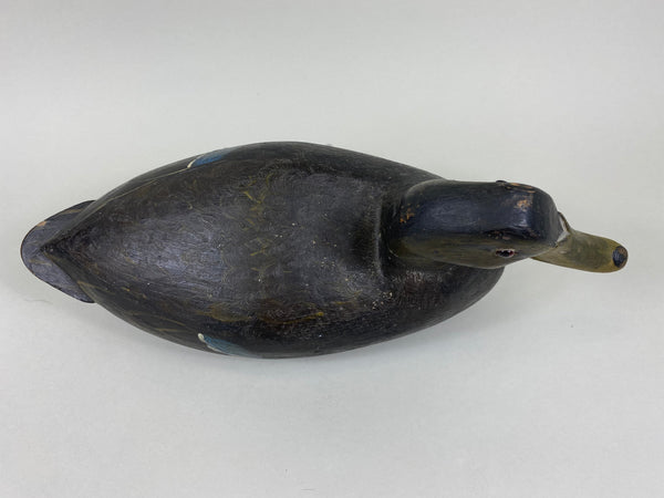 Unknown Hollow Black Duck (#5477)