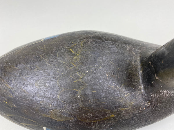 Unknown Hollow Black Duck (#5477)