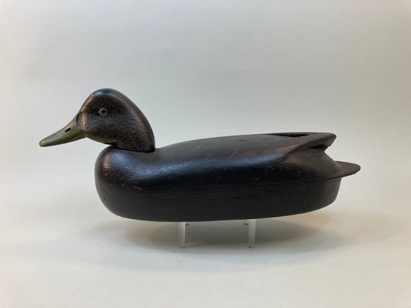 John McLoughlin Black Duck, Circa 1920's (#5510)