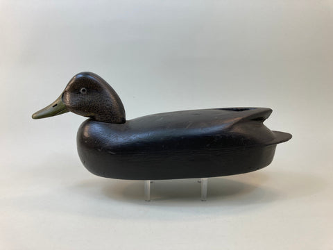 John McLoughlin Black Duck, Circa 1920's (#5510)