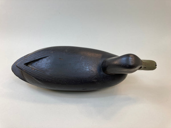 John McLoughlin Black Duck, Circa 1920's (#5510)