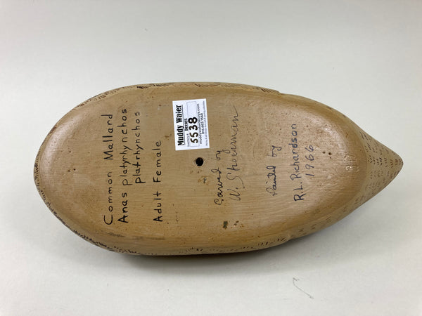 Wendell Sheerman Preening Mallard Hen (#5538)