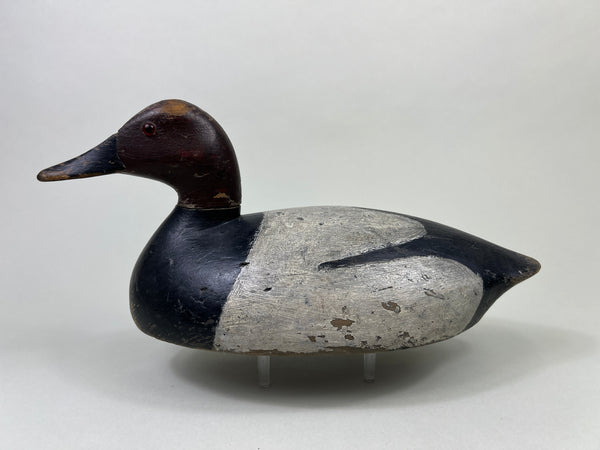 John R. Wells Canvasback Drake, Circa 1920's (#4703)