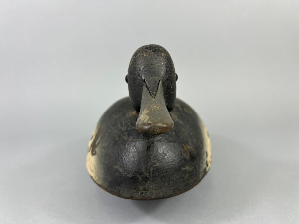 Quillen Style Bluebill (#3937)