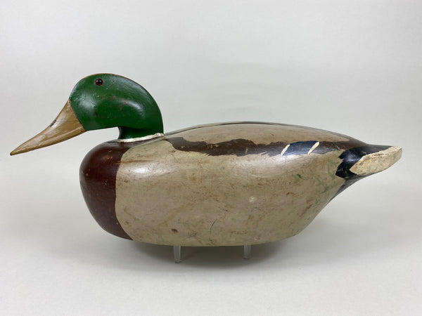 Joseph Pinter Mallard Drake, Circa 1930's (#5620)