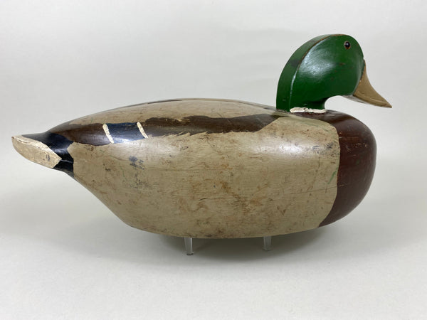 Joseph Pinter Mallard Drake, Circa 1930's (#5620)